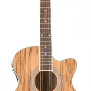 Native Series Electro-acoustic Guitars